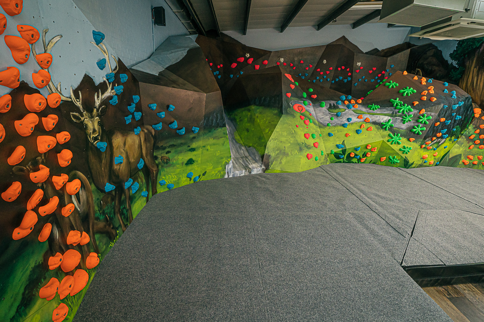 Children's bouldering wall with mountains and wildlife artwork